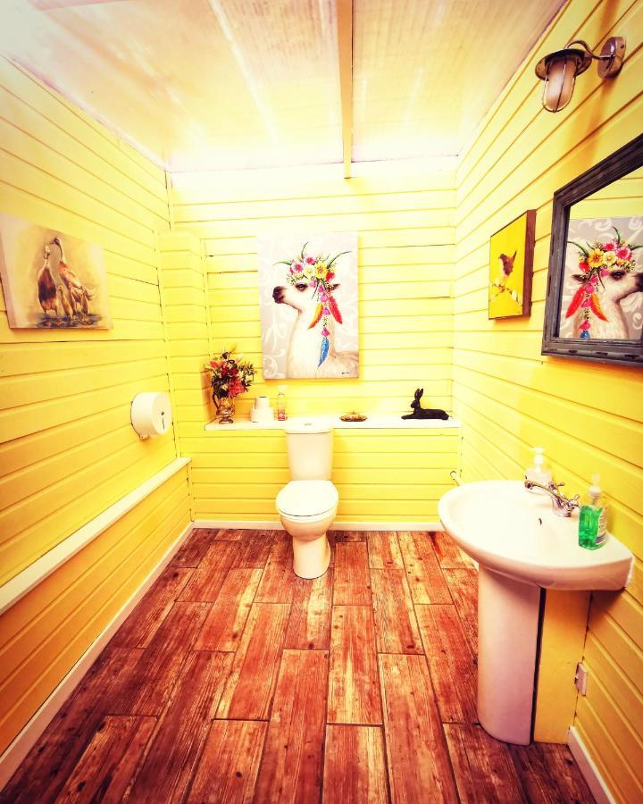 Bluebell Off-Grid Van Ньютон Стюарт Экстерьер фото